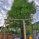 公寓 Steinmetzhaeuschen 维京